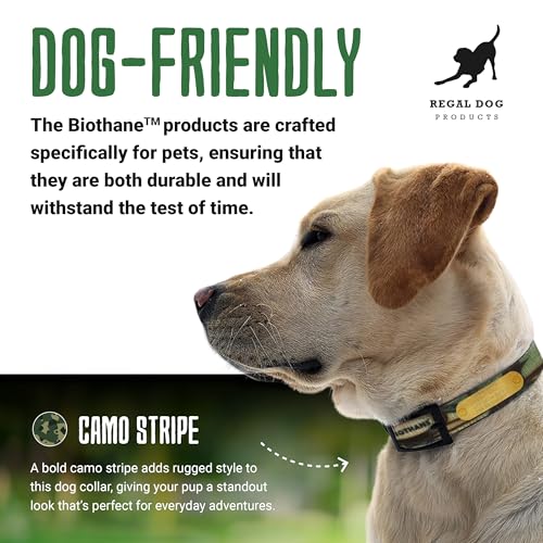 Regal Dog Products Medium Green Camo Hunting Dog Collar with Custom Engraved Name Plate and Heavy Duty Black Hardware | Waterproof Personalized Dog Collars | Other Sizes for Small, Medium & Large - size: Medium, style: Green Camouflage