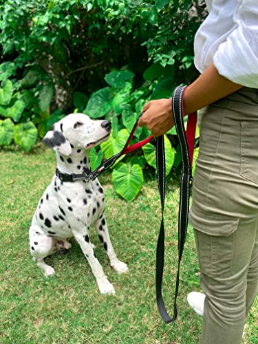 Tuff Pupper Heavy Duty Double Handle Leash | Twist Locking Carabiner Clip | Safety Lock for Strong Dogs | Reflective for Safe Night Walks | 6 Foot Leash | For Medium & Large Dogs - color: Epic Black