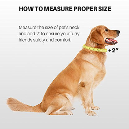 Small Dog Collar Quick-Release Green| Heavy-Duty Nylon Puppy Collar, Adjustable & Durable Pet Supplies for Boy & Girl Dogs (Small, Lime Green) - color: Lime Green, size: Small