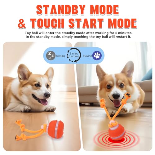 Interactive Dog Toys, Squeaky Dog Toy with Motion Activated, Active Rolling Ball, USB Rechargeable Dog Toys for Small Medium Large Dogs, Puppy Training Balls Boredom Relief