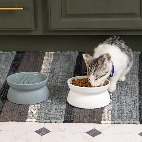 Kitty City Elevated Slow Feeder Cat Bowls (Set of 2), Whisker-Friendly Raised Cat Food Dishes with Ridges, Helps Reduce Fast Eating & Digestion Issues, Dishwasher Safe, 6.5 oz – White & Gray - color: Gray/White, size: Small, style: Small - Slow Feed