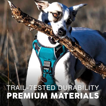 Embark Adventure Dog Harness for Small, Medium & Large Dogs – No Pull, Reflective Trim, Military Grade Nylon, 2 Leash Clips, Gel-Lined Handle, Soft Padded - color: Blue, size: XS