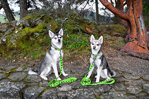 EcoBark Teacup Dog Leash - Soft & Reflective Toy Breed Leashes with Padded Handle - Strong & Durable - Training and Pulling for Tiny & Small Dogs (Green) - color: Green, size: 6 ft x 5/8 in - Thinnest Width