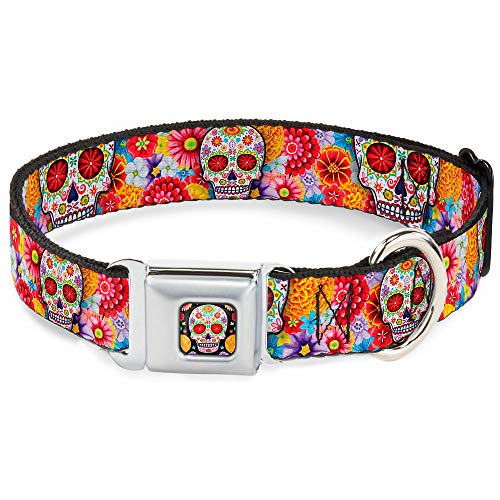 Dog Collar Seatbelt Buckle Sugar Skull Starburst White Multi Color 15 to 26 Inches 1.0 Inch Wide - size: 1" Wide - Fits 15-24" Neck - Large