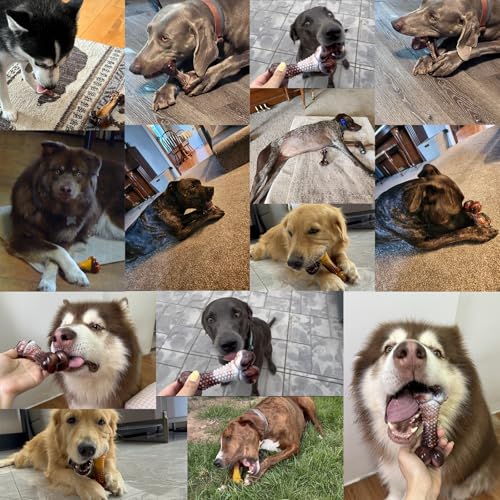 Dog Chew Toys for Aggressive Chewers, 2Pack Indestructible Dogs Bone Toy for Large Small Medium Breeds, Durable Tough Nylon Dog Toys To Keep Them Busy, Puppy Teething Dogs Toy Bone, Beef&Bacon Flavor - color: Real Bacon&Beef