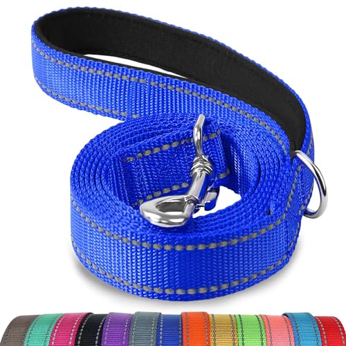 Joytale Dog Leash, 4 FT Double-Sided Reflective, Padded Handle Nylon Heavy Duty Leashes for Small Dogs Walking, Navy Blue - color: Navy Blue, size: 4 ft Narrow