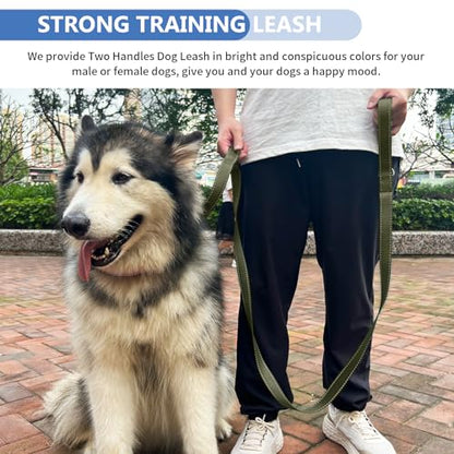 Strong Heavy Duty Dog Leash - 5ft Reflective Nylon Training Leash with Soft Padded Double Handle & Auto Lock Frog Clip - Safety Traffic Control for Large Medium Small Dogs No Pull Walk Army Green,4ft - color: Army Green, size: 4FT x 1" x 2.8MM