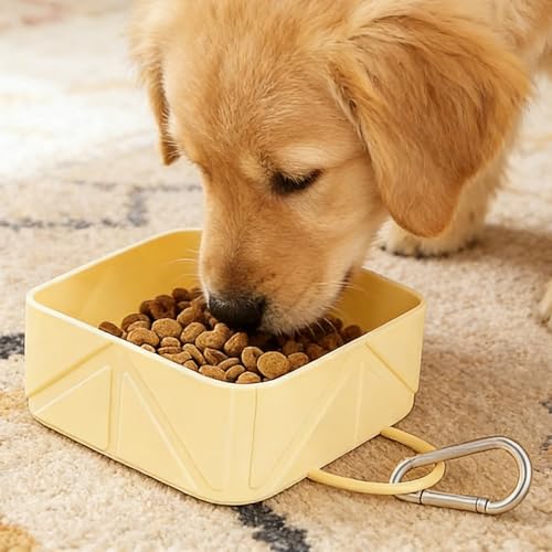 Collapsible Pet Bowls for Dogs and Cats, Portable Travel Silicone Foldable Dog Water Food Bowl with Carabiner 10.5x10.5x4.5cm - color: yellow