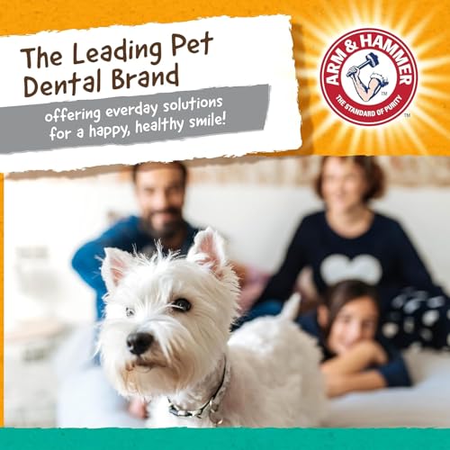 Arm and Hammer for Pets Super Treadz Gorilla Dental Chew Toy for Dogs - Reduces Plaque and Tartar Without Brushing, Baking Soda Infused, Dishwasher Safe, Dogs Up to 35 Lbs - 3 Pack - size: Large (Pack of 3), style: Gorilla