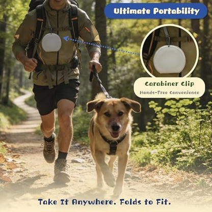 Silicone Collapsible Dog Bowl with Carabiner Clip, 2-in-1 Foldable Double Pet Food & Water Travel Bowl, Portable No-Spill Design for Walking Hiking Camping (Gray)