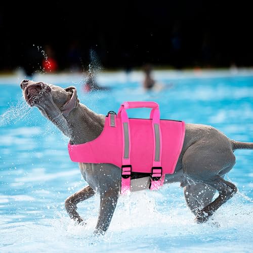 Queenmore Small Dog Life Jacket - Adjustable Reflective Lifesaver Vest with Back Zip, Rescue Handle, Leash Hook (Fuchsia S) - color: Fuchsia, size: Small