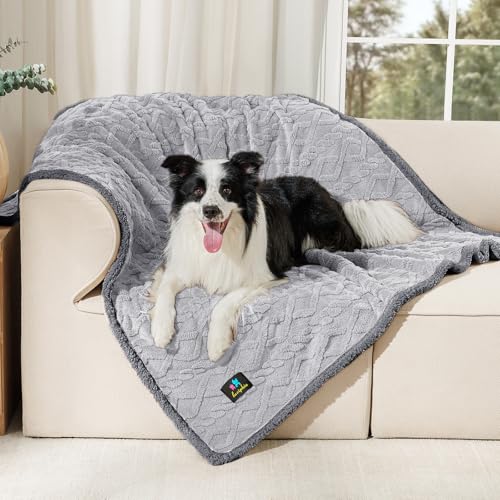 Luciphia Waterproof Pet Blanket, Liquid Pee Proof Dog Blankets for Sofa Bed Couch, Reversible Sherpa Fleece Furniture Protector Cover for Small Medium Large Dogs Cats,Light Grey Large（65" x 57"） - color: Light Grey, size: L (65" x57")