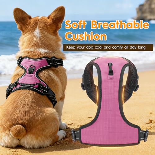 No Pull Dog Harness, No Chock Reflective Adjustable Soft Padded Pet Vest with Easy Control Handle, Easy Wearing with Stylish, Reinforced Knot, 2 Buckles - color: Midnight Pink, size: X-Small
