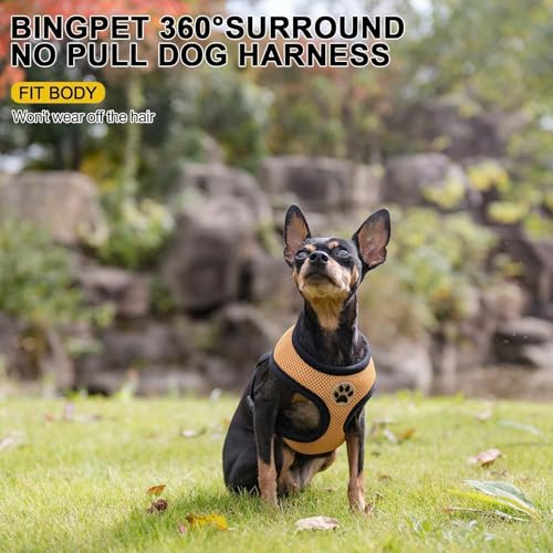 BINGPET Small Dog Harness, No Pull Dog Harness Small Sized Dogs, Soft Light Breathable Mesh Puppy Vest with Safety Buckle-Adjustable Step in Pet Harnesses for Easy Walking, Running, Training - color: Beige, size: S (NECK: 12", CHEST: 14"-18")