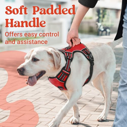 rabbitgoo Dog Harness Small Sized Dog, No Pull Pet Harness with Soft Padded Handle, Adjustable Reflective Vest with 3 Buckles, Easy Walking Harness with 2 Leash Clips, Red, S - color: Red, size: Small