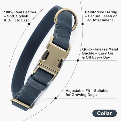 Plutus Pet Genuine Leather Dog Collar – Adjustable Pet Collar with Quick Release Metal Buckle, Soft Real Leather for Small Medium Large Dogs, Heavy Duty & Skin-Friendly (Blue, S) - color: Blue, size: S