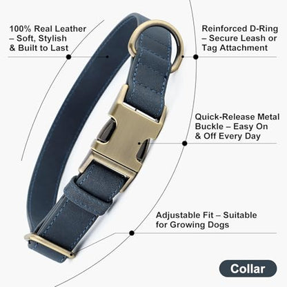 Plutus Pet Genuine Leather Dog Collar – Adjustable Pet Collar with Quick Release Metal Buckle, Soft Real Leather for Small Medium Large Dogs, Heavy Duty & Skin-Friendly (Blue, S) - color: Blue, size: S