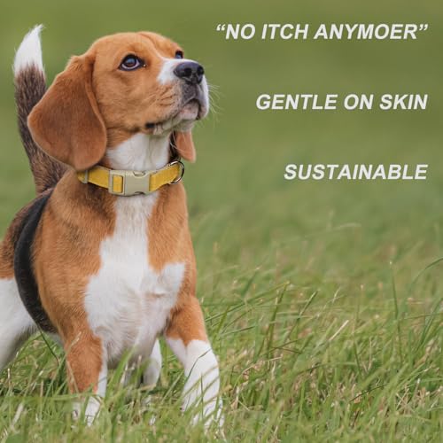 Plutus Pet Cotton Hemp Dog Collar and Leash Set, Adjustable Collar for Small, Medium, and Large Dogs, Heavy Duty and Soft on Skin, Yellow, XS - color: Yellow, size: X-Small