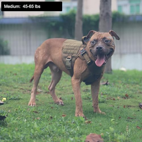 ICEFANG Tactical Dog Harness, Medium Size,2X Metal Buckle,Working Dog MOLLE Vest with Handle,No Pulling Front Leash Clip,Hook and Loop Panel (Brown,M (Pack of 1)) - color: Brown, size: Medium (Pack of 1)
