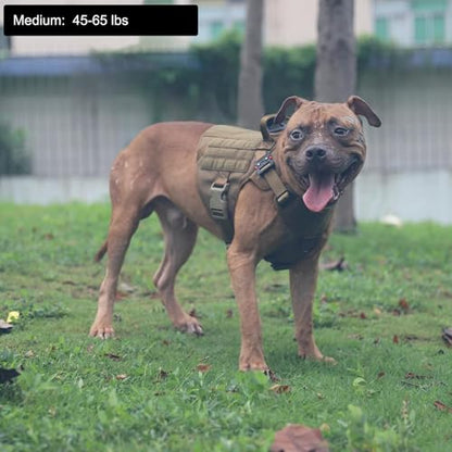 ICEFANG Tactical Dog Harness, Medium Size,2X Metal Buckle,Working Dog MOLLE Vest with Handle,No Pulling Front Leash Clip,Hook and Loop Panel (Brown,M (Pack of 1)) - color: Brown, size: Medium (Pack of 1)
