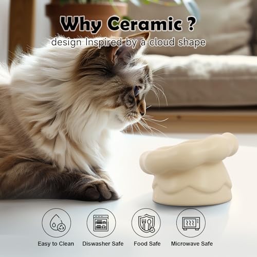 Cloud-Shaped Ceramic Cat Bowl - Elevated Raised Design for Indoor Cats & Kittens,Tilted Anti-Vomiting Shallow Dish with Spine Protection,Cute Whisker-Friendly Ceramic Food Bowls & Dishes (Milky White) - color: Milky White