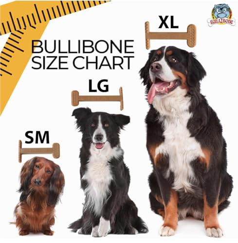 Bullibone Nylon Dog Chew Toy for Aggressive Chewers - Dental Hygiene Bone with Peanut Butter Flavor, Durable Tough Chew Toys for Extra Large Dogs, Indestructible Dog Bone - 2 Pack - size: XL