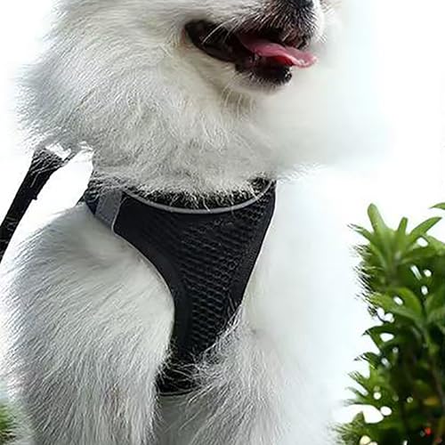 Dog Harness and Leash Set, No Pull Soft Mesh Pet Harness, Reflective Adjustable Puppy Vest for Dogs/Cats - color: Black, size: Small