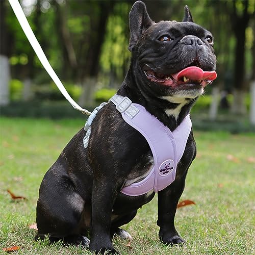Dog Harness Pet X Frame No Pull Step-in Harnesses with Leash Set, Adjustable Reflective Choke Free Puppy with Padded Vest for Small, Medium Dogs and Cats Walking Training - color: Purple, size: Large