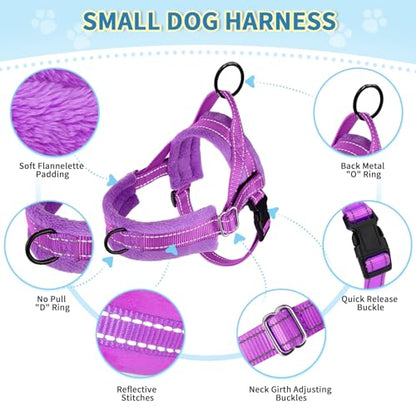Lukovee No Pull Dog Harness and Leash Set, Soft Padded Small Dog Harness, Neck & Chest Adjustable Reflective Vest Puppy Harness with 4ft Lightweight Anti-Twist Dog Leash for Small Dogs (XXS, Purple) - color: A-Purple, size: XXS ( Chest 11.5'' ~ 15'')