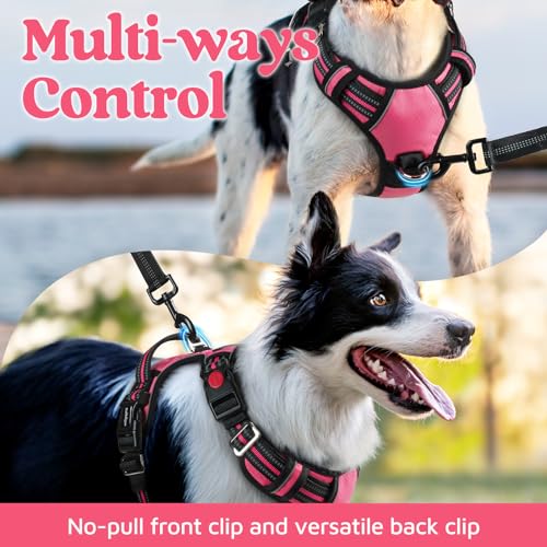 rabbitgoo Dog Harness Medium Sized, No Pull Dog Vest with 3 Buckles, Adjustable Soft Padded Pet Harness with Easy Control Handle and Reflective Strips, Pink, M - color: Pink, size: Medium