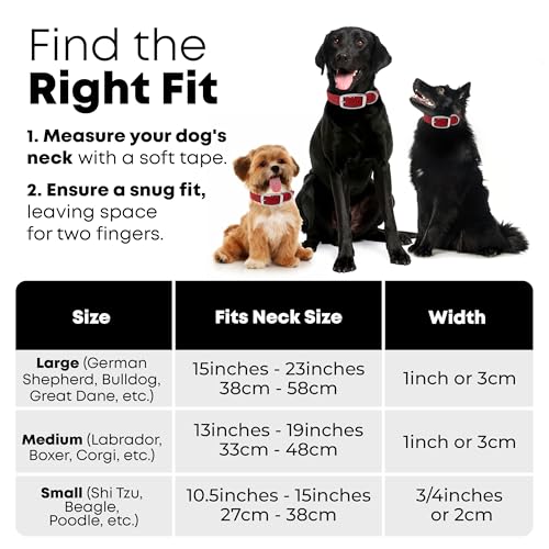 Regal Dog Products Small Red Waterproof Dog Collars with Custom Engraved Name Plate | Vinyl Coated, Anti, Easy to Clean Personalized Biothane Dog Collar - Other Sizes for Medium & Large Dogs - color: Red, size: Small Collar
