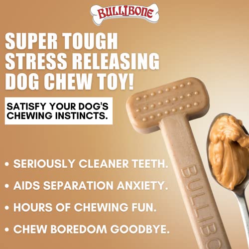 Bullibone Nylon Dog Chew Toy for Aggressive Chewers - Dental Hygiene Bone with Peanut Butter Flavor, Durable Tough Chew Toys for Small Dogs, Indestructible Dog Bone - 2 Pack - size: Small - 2 Pack