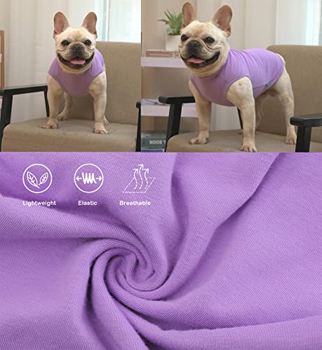 Dog Plain Shirts,Solid Dogs Clothes,Lightweight Stretchy Tee Shirt,Sleeveless Blank Puppy Chihuahua Cats Samll Costumes,Yellow & Purple XS - color: Yellow & Purply, size: X-Small