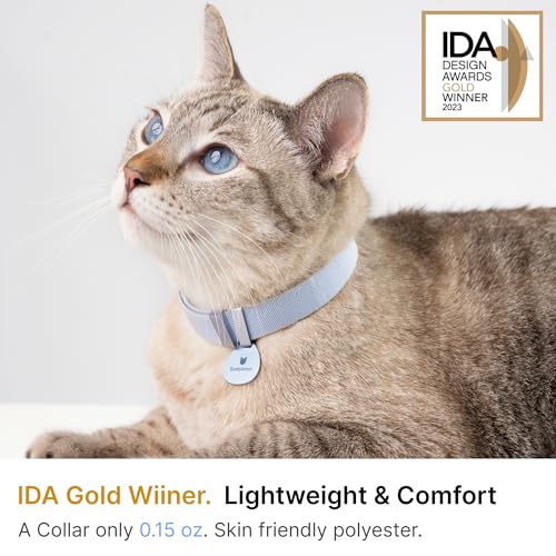 Safety Cat Collar Pro - U.S. IDA Gold Awarding Design, Elastic Quick Release Cat Collar with Buckle Non Breakaway - Lightweight for Kitten All Small Large Cats (Space Gray, S 5.9-11.8") - color: Space Gray, size: S 5.9-11.8"