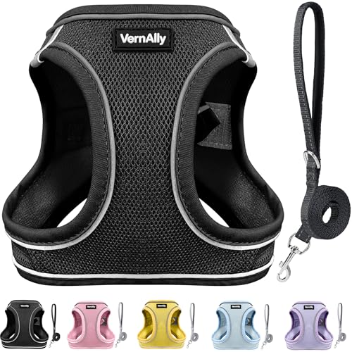 Sparkly Dog Harness Small Sized and Leash Set for Small Dogs Cats,Black S Puppy Harness, Step in Soft Dog Reflective Vest, Breathable Mesh Pet Harness. (Black, M) - color: Black, size: M