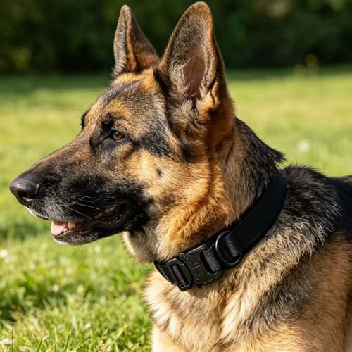 Tactical Dog Collar Adjustable Military Nylon Dog Collar with Control Handle and Heavy Duty Metal Buckle for Medium and Large Dogs (Black,S) - color: Black, size: Small (Pack of 1)