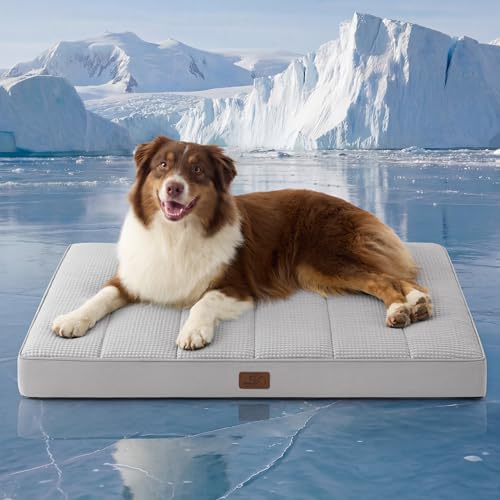 Bedsure Orthopedic Cooling Dog Bed Large Sized Dog - 36x27 Inches Large Comfy Breathable Summer Beds with Removable Washable Cover, Cold Flat Egg Crate Foam Pet Mat, Suitable for Pet Up to 50 lbs - color: Cooling Grey, size: 36"L x 27"W x 3"Th