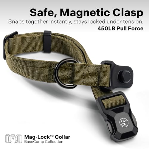 Scout Supply Co.Heavy Duty Dog Collar with Quick-Release Magnetic Buckle, Adjustable Double Layer Nylon Dog Collar for Medium Dogs, (Green, M: 14" to 18") - color: Green, size: M: 14" to 18"