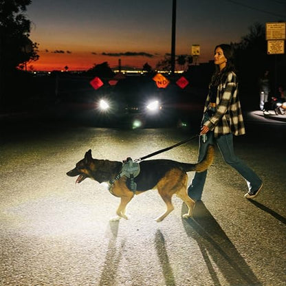Lumi One LED Dog Harness for Night Visibility and Safety, Patent Pending – Light-Up Dog Vest, Reflective, Adjustable, Rechargeable, Durable, High-Visibility Pet Gear (Teal Blue, Extra Large) - color: Blue, size: Extra Large