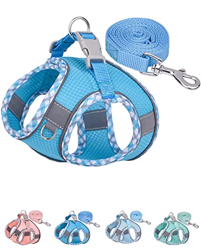 Petank Dog Harness for Small Medium Dogs No Pull, Puppy Harness and Leash Set, Step in Dog Harness for Walking, Running, Training, Small Dog Vest(Bule, XXS) - color: Bule, size: XXS