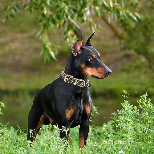Leather Dog Collar and Leash Set, Check Pattern Dog Collar Leashes Metal Buckle Adjustable Durable for Small Medium Large Dogs (Black, S(11.4-13.4IN)) - color: Black, size: S(11.4-13.4IN)