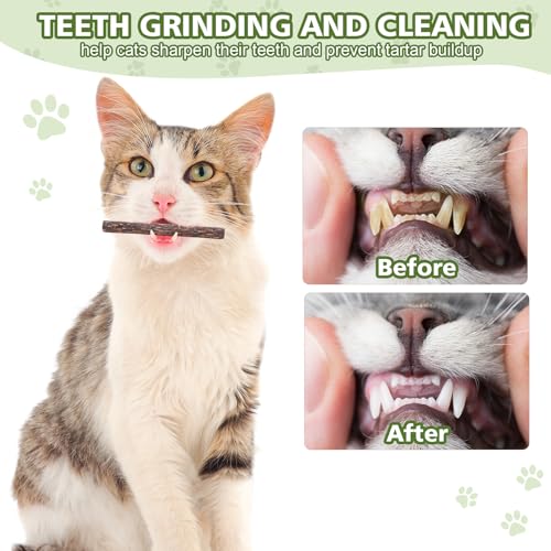 WOUSEDO 6 Pack Silvervine Sticks Cat Toy, Natural Chew Stick for Dental Care Teeth Cleaning,Matatabi Cat nip Treat Toys for Indoor Cats& Kittens - size: 6 PACK
