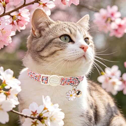 Unique style paws 2 Pack Valentine Kitten Collar Breakaway with Bell&Pendant, Adjustable Safety Spring Summer Blue Pink Flower Cotton Collar for Girl Boy Cat and Small Pet - color: blue pink flower