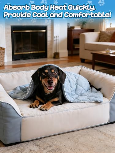 29x40in Cooling Blanket for Dogs - Machine Washable Soft Blanket with Q-MAX>0.4, Fits Small Medium Dogs Cats, Summer Cooling Mat for Dog Kennel Car Seat Indoor Furniture Couch Sofa Protector - size: 29x40in