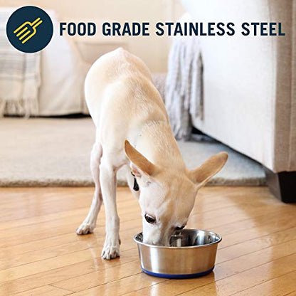 OurPet's DuraPet Premium Dishwasher Safe Stainless Steel Dog Bowl for Food or Water [Multiple Sizes for Small to Large Dogs] in Traditional or Wide Base Design - 2.25 Cup - size: 2.25 Cups