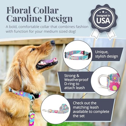 Lucky Love Dog Collars, Cute X-Small Dog Collars for Female Dogs, Part of Purchase Donated to Rescue, Caroline, Extra Small - color: Caroline Collar Only, size: X-Small | 7-11"
