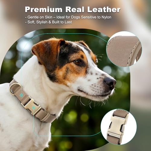 Plutus Pet Genuine Leather Dog Collar – Adjustable Pet Collar with Quick Release Metal Buckle, Soft Real Leather for Small Medium Large Dogs, Heavy Duty & Skin-Friendly (Ash Brown, XS) - color: Ash Brown, size: XS