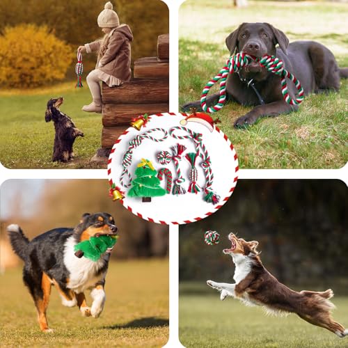 Aitmexcn Dog Rope Toys Set, 7 Pack Cotton Dog Toys for Large Dogs and Medium Small, Cute Interactive Squeaky Toy, Chewing Puppy Gaming Toy for Teeth Cleaning - style: Exclusive Dog Toys Pack- 7 Pack( Xmas-themed）