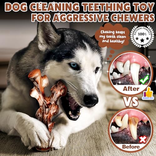 4-Pack Dog Chew Toys for Aggressive Chewers, Long Lasting Heavy Duty Chewing, Boredom and Stimulation for Medium Breeds, Tough Almost Indestructible Dog Bones Teeth Cleaning Toy - size: Large