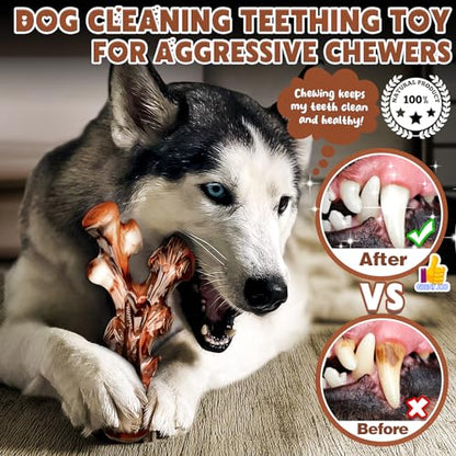 4-Pack Dog Chew Toys for Aggressive Chewers, Long Lasting Heavy Duty Chewing, Boredom and Stimulation for Medium Breeds, Tough Almost Indestructible Dog Bones Teeth Cleaning Toy - size: Large